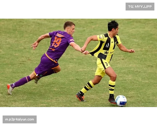 澳超竞争白热化伤病潮来袭或成左右冠军归属关键因素